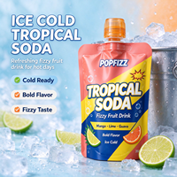 Pochette souple personnalisée avec bec verseur, non transparente, pour emballage de liquides, avec bouchon à vis, pour sodas tropicaux et boissons fruitées gazeuses
