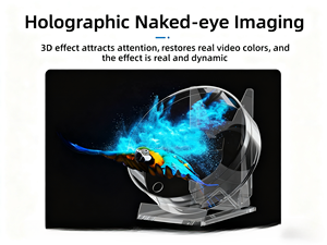 Ventilador Holográfico 3D RAYBO para Olhos Nus, Projetor LED de Alta Brilho para Publicidade em Lojas de Varejo - Product Image 2