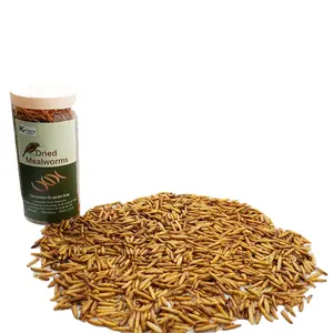 Khô mealworms trong chim thực phẩm khô mealworms trong số lượng lớn