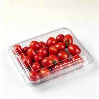 300g Wegwerp PET Plastic Fruitbak Rechthoekig Transparant voor Fruitsalade Voedselverpakking