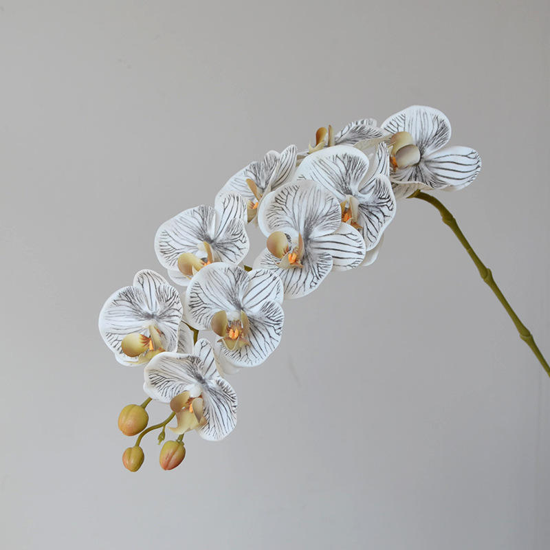 สีเทา9หัว