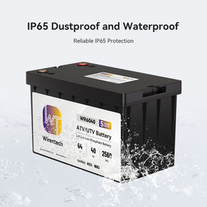 Batería Lifepo4 de 64V 40Ah 80Ah para ATV UTV, Resistente a Impactos y Agua IP65, Batería para Vehículos Todoterreno -20 ° Descarga a Baja Temperatura C - Product Image 6