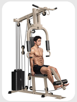 PINJIAN En gros Appareil de musculation multifonctionnel à poste unique pour pectoraux et tirages hauts/bas, équipement de fitness combiné pour la maison