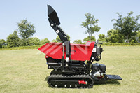 ANT BY800 Kompaktlader Raupendumper Mini-Transporter für Landwirtschaft und Garten Mini-Schubkarrenlader mit Honda-Motor und SAUER-DANFOSS-Lagern