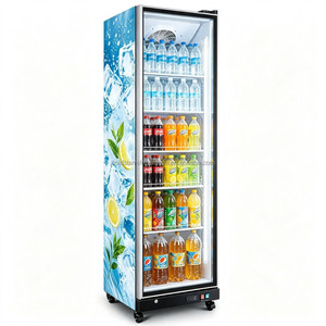 Nouvelles Vitrines Réfrigérées Économes en Énergie à Porte Simple Entièrement Vitrées et Vitrines Réfrigérées Domestiques pour Boissons en 2026 - Product Image 4