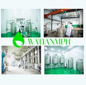 Bán Buôn 100% Tinh Khiết Hữu Cơ Không Tinh Chế Shea <span class=keywords><strong>Butter</strong></span> Nguyên Số Lượng Lớn Tàu Sân Bay Dầu Cho Chăm Sóc Da Hiar Chăm Sóc Giá Tốt Nhất - Product Image 6