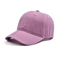 Kinderen Baseball Pet met Aangepaste Logo Borduring Gewassen Katoen 6-Panel Vintage Blank Dad Hat Kinderen Peuter Verstelbare Sport Zonnepet