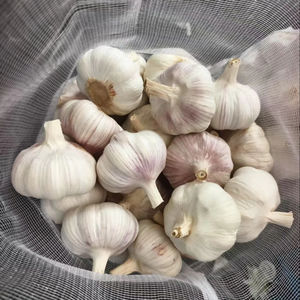 <span class=keywords><strong>Ail</strong></span> Ajo Alho Exportation d'<span class=keywords><strong>ail</strong></span> de légumes frais à un <span class=keywords><strong>prix</strong></span> de gros compétitif Chine Fournisseurs vérifiés - Product Image 1