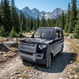 Nuevo Diseño, Vehículo Eléctrico <span class=keywords><strong>SUV</strong></span> <span class=keywords><strong>de</strong></span> 4 Ruedas <span class=keywords><strong>de</strong></span> Baja Velocidad, Cerrado, para Adultos, <span class=keywords><strong>de</strong></span> Nueva Energía - Product Image 6