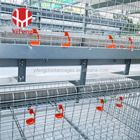 Système d'élevage de poussins haute capacité, cage de couvaison de type A pour poulailler commercial, équipement d'élevage de poussins en gros
