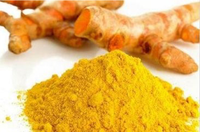 Poudre de Curcumine Liposomale de Qualité Supérieure pour Compléments Alimentaires, Matières Premières à Prix Avantageux, Disponible à la Vente (2026)