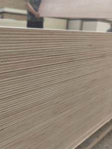 <span class=keywords><strong>Compensato</strong></span> Impermeabile per Navi 1220x2440x12mm, Vendita all'Ingrosso, per Mobili Decorativi - Product Image 2