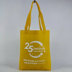Shopping Reusable Bag Folding Biodegradable Shopping Bag Cheapest 13''x15''x10'' 80gsm Non Woven Bag