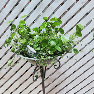 Support <span class=keywords><strong>pour</strong></span> <span class=keywords><strong>bassin</strong></span> à oiseaux en fer forgé fait main, style vintage créatif, sur pied haut, style vieilli, mangeoire à oiseaux - Product Image 2