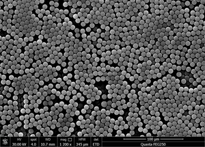 Microsphères fluorescentes résolvées dans le temps pour les applications de chromatographie par fluorescence - Product Image 4