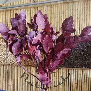 يونان الجملة المحفوظة الطبيعي 23in الكستناء أوراق الجافة الزفاف الديكور زهور مجففة الزفاف الذهب أوراق Salal يترك - Product Image 1