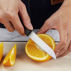 <span class=keywords><strong>Coltelli</strong></span> <span class=keywords><strong>da</strong></span> <span class=keywords><strong>cucina</strong></span> a punta dritta a punta dritta <span class=keywords><strong>coltelli</strong></span> <span class=keywords><strong>da</strong></span> <span class=keywords><strong>cucina</strong></span> Ultra affilati manico in plastica PP <span class=keywords><strong>coltelli</strong></span> <span class=keywords><strong>da</strong></span> sbucciatura classici per frutta e verdura - Product Image 5