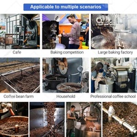 Machine à torréfier le café et le cacao à air chaud, petite taille, 500g, 2kg, 3kg, 10kg, avec échantillon, fabriquée en Chine