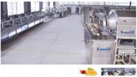Ligne de production de frites entières surgelées, du lavage au pelage à la machine à emballer pour faire des chips, prix en vente