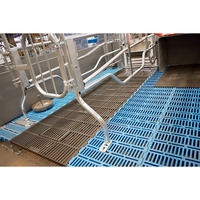 Accessoires pour cage de mise bas en fer fonte noir lisse et durable pour élevage porcin, tapis de sol en fer fonte