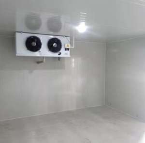 बहु-क्षेत्र तापमान प्रबंधन कोल्ड स्टोरेज रेफ्रिजरेटर फ्रीजर डिब्बे - Product Image 6