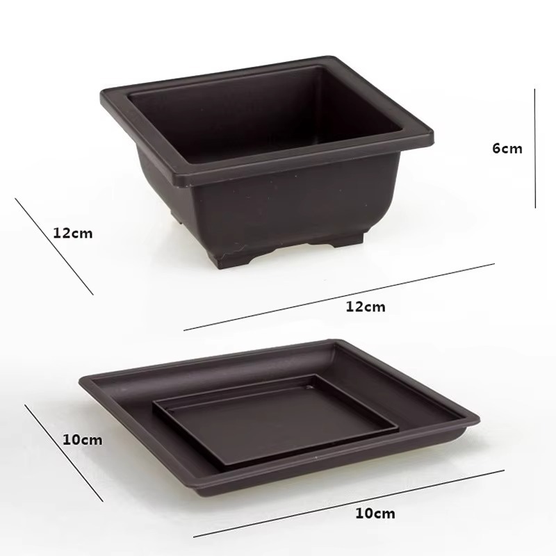 12 cm con vassoio