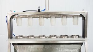 Machine automatique à prix d'usine pour retirer le cœur et couper les poivrons verts en bandes - Product Image 4