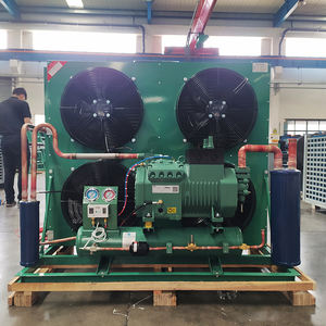 Unit Kondensasi Kompresor Refrigerasi Semi-hermetik <span class=keywords><strong>Bitzer</strong></span> 380V Motor Hemat Energi Peralatan Pendingin Ruang Dingin - Product Image 4