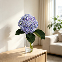 Bunga Hydrangea Segar Grosir Langsung dari Pabrik, Ketebalan Sedang, Sedikit Melengkung, untuk Acara