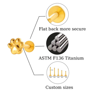 Hengsen ASTM F136 <span class=keywords><strong>Titanium</strong></span> 16G anting-anting kancing belakang datar berulir internal perhiasan tindik tulang rawan telinga hewan - Product Image 3