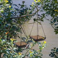 Mangeoire suspendue pour oiseaux de compagnie, plateau de nourrissage pour oiseaux