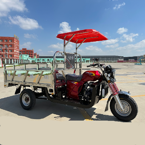 Longxin Power 200cc Water Cooled Petrol Tricycle Stainless Steel <b>Box</b> <b>for</b> Seafood Motorized Tricycles - Product Image 1