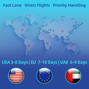Agente de Transporte de Carga Aérea Profesional de <span class=keywords><strong>China</strong></span> a Emiratos Árabes Unidos, <span class=keywords><strong>Arabia</strong></span> Saudita y Catar, Envío Puerta a Puerta DDP - Product Image 4