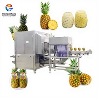 Volledig Automatische Hoge Productiviteit Fruit Ananas Continue Schilmachine 304 RVS CE Gecertificeerd 220V/380V 1 Jaar Garantie