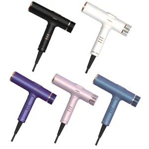 Hairdryer Mini Portable Wall Mount 1 Step Professional Salon Blow Negative Ion Hair Dryer