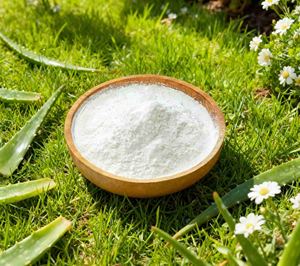 Extracto de aloe vera en polvo de alta calidad 100X con fórmula concentrada para producción cosmética OEM y de marca privada - Product Image 1