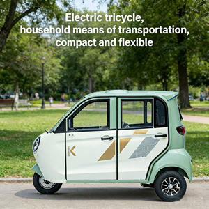 Triciclo Elettrico Completamente Chiuso per Adulti, Uso Domestico con Seggiolino per Bambini Come Mezzo di Trasporto per Adulti e Bambini - Product Image 5