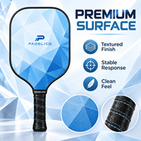 Raquette de pickleball personnalisée légère en fibre de verre 2027, approuvée USAPA pour les sports de loisirs en intérieur et en extérieur