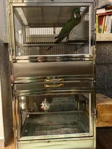 Grande <span class=keywords><strong>cage</strong></span> à oiseaux transparente de luxe en acier inoxydable avec fermeture à bouton pour perroquets, emballée en boîte - Product Image 4