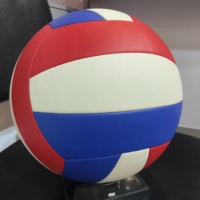 Ballon de volley-ball de compétition de divertissement en matériau EVA, 18 panneaux, taille 5
