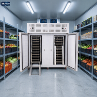 Congélateur-chiller industriel 30 plateaux avec 2 chariots, dégivrage automatique, congélateur à choc sans givre