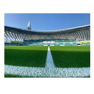 <span class=keywords><strong>AVG</strong></span> migliore qualità 7-a-side campo da calcio all'aperto con Futsal calcio professionistico erba di calcio per la formazione - Product Image 3