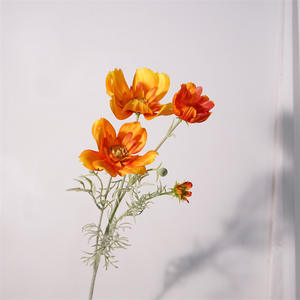 Venta al por mayor de suministro de fábrica Artificial Faux <span class=keywords><strong>Cosmos</strong></span> <span class=keywords><strong>Bipinnatus</strong></span> Flower Long Stick Plastic Silk Floral Decor para Home Party Wedding - Product Image 2