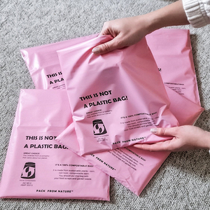 Mang nhãn hiệu polybagtear-proof không thấm nước không có mùi chất lượng tốt Flat Poly bưu phẩm - Product Image 4