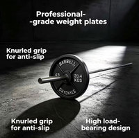 Prix d'usine Plaque de poids en fonte 20 kg pour usage commercial, musculation et entraînement de force en salle de sport avec logo