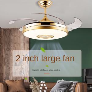 Modern 42-Inch Retractable Ceiling Fan <b>Light</b> with <b>LED</b> Luxury Invisible Styles Gold for Hotel Living <b>Room</b> Remote Control Included - Product Image 5