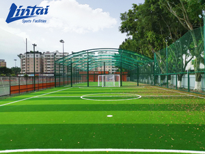 Ensemble complet <span class=keywords><strong>de</strong></span> <span class=keywords><strong>cage</strong></span> <span class=keywords><strong>de</strong></span> football avec buts, gazon artificiel, filets et éclairage pour l'extérieur, à vendre - Product Image 3