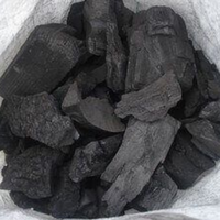 Pembeli Arang Kayu Tamarind di Eropa, Arang Kayu Tamarind Kayu Keras, Penjualan Bagus, Kualitas Premium