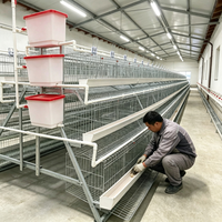 Cage à poules durable pour élevage de poules pondeuses, système de batterie avicole de type colombien à 4 niveaux, faible coût, rendement élevé en œufs