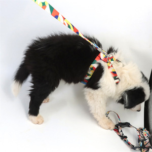 Ensemble de laisses réglables pour chiens et chats de taille moyenne avec conception anti-rupture, options multicolores - Product Image 2